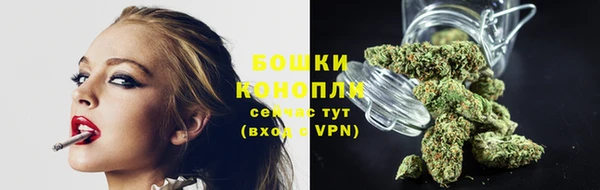 молекула духа Заволжье
