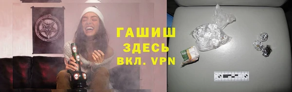 стаф Зерноград