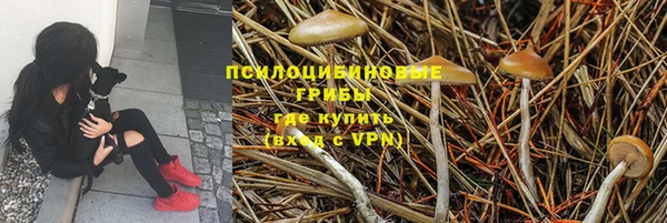 эйфоретик Зеленокумск